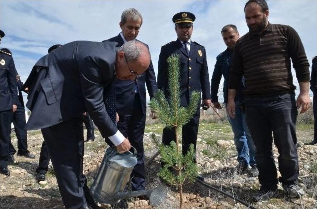 Iğdır&rsquo;da &lsquo;bir Dikili Ağacımız Olsun&rsquo; Projesi