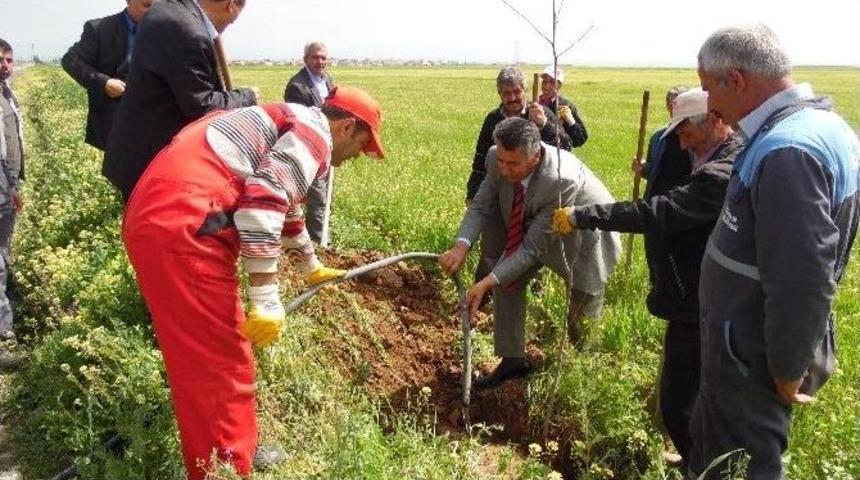 Bu Projeyle Yazıhan Yeşillenecek