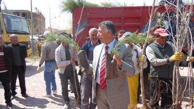 Bu Projeyle Yazıhan Yeşillenecek