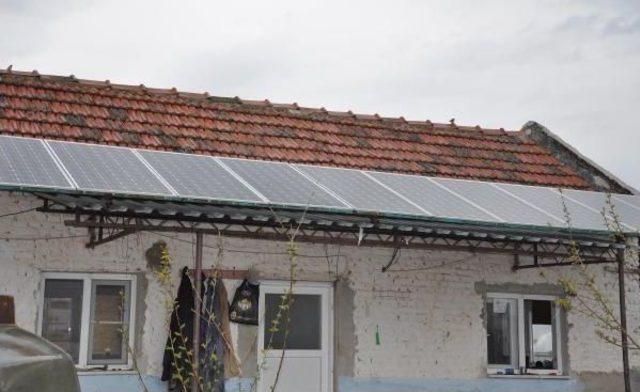 Çiftliğinin Elektriğini Güneş Enerjisiyle Sağlıyor