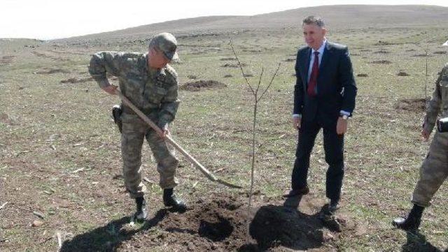 Kars'ta Köylere Gelir Getirecek Ceviz Ağaçları Dikiliyor