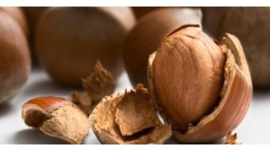 T&uuml;rk Fındığına &rsquo;lobi&rsquo; Uyarısı