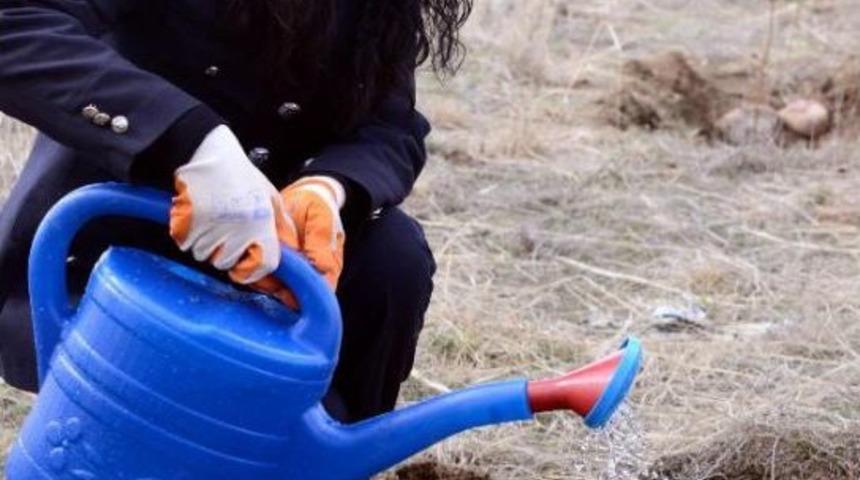 Polislerden 'fidan' Operasyonu