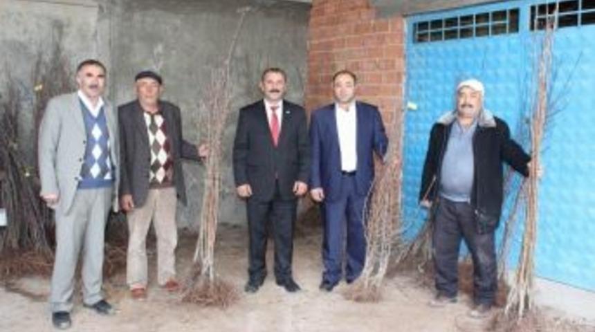 Yıldızeli&rsquo;nde &Ccedil;ift&ccedil;ilere 3 Bin Adet Meyve Fidanı Dağıtıldı