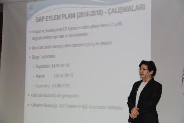 Şanlıurfa'da Gap Eylem Planı Toplantısı