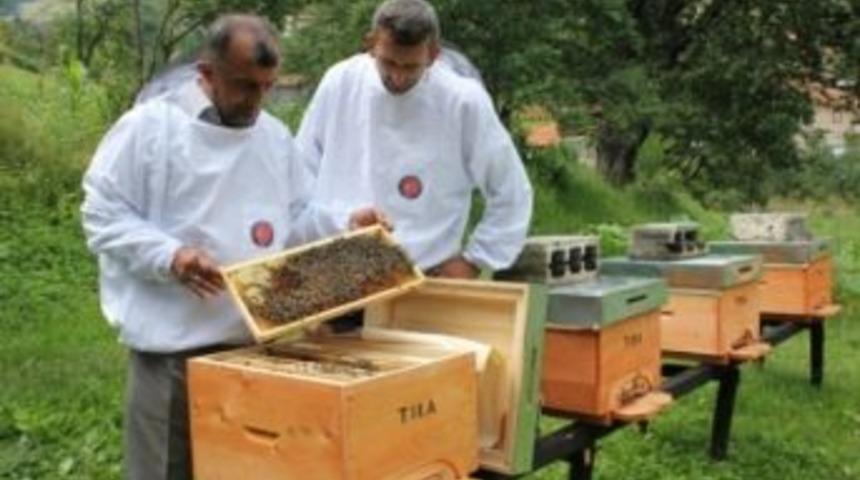 Tika&rsquo;nın Bosna Hersek&rsquo;teki Tarım Projeleri Meyvelerini Vermeye Başladı
