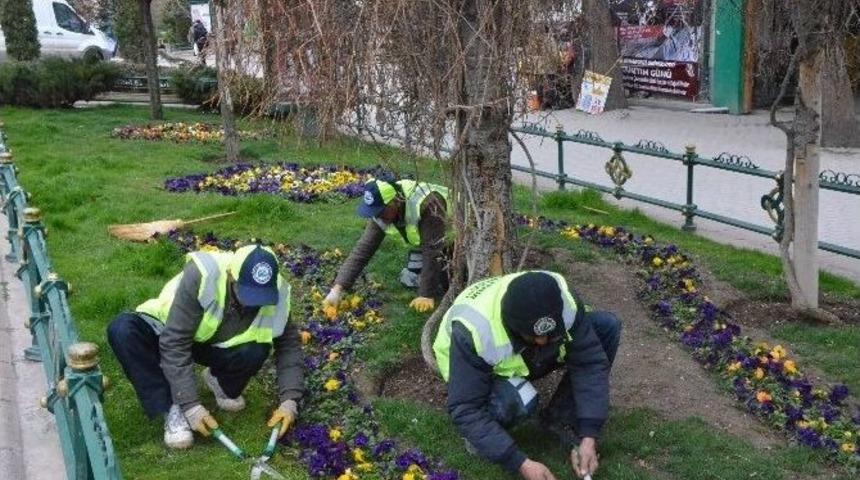 Adalar Mevkii Menekşelerle S&uuml;sleniyor