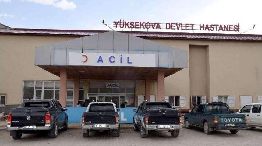 Y&uuml;ksekova&rsquo;da Domuz Gribi Ş&uuml;phesi
