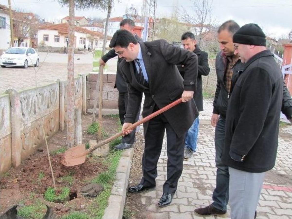 Okul Bah&ccedil;esine Fidan Dikimi