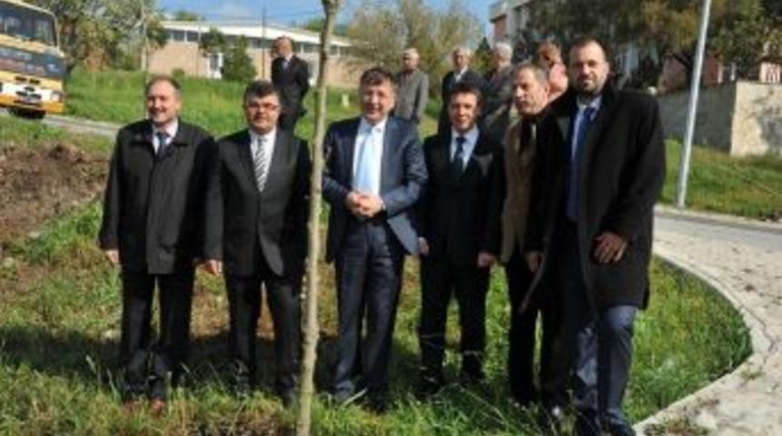 Cb&uuml; Muradiye Yeşillendi