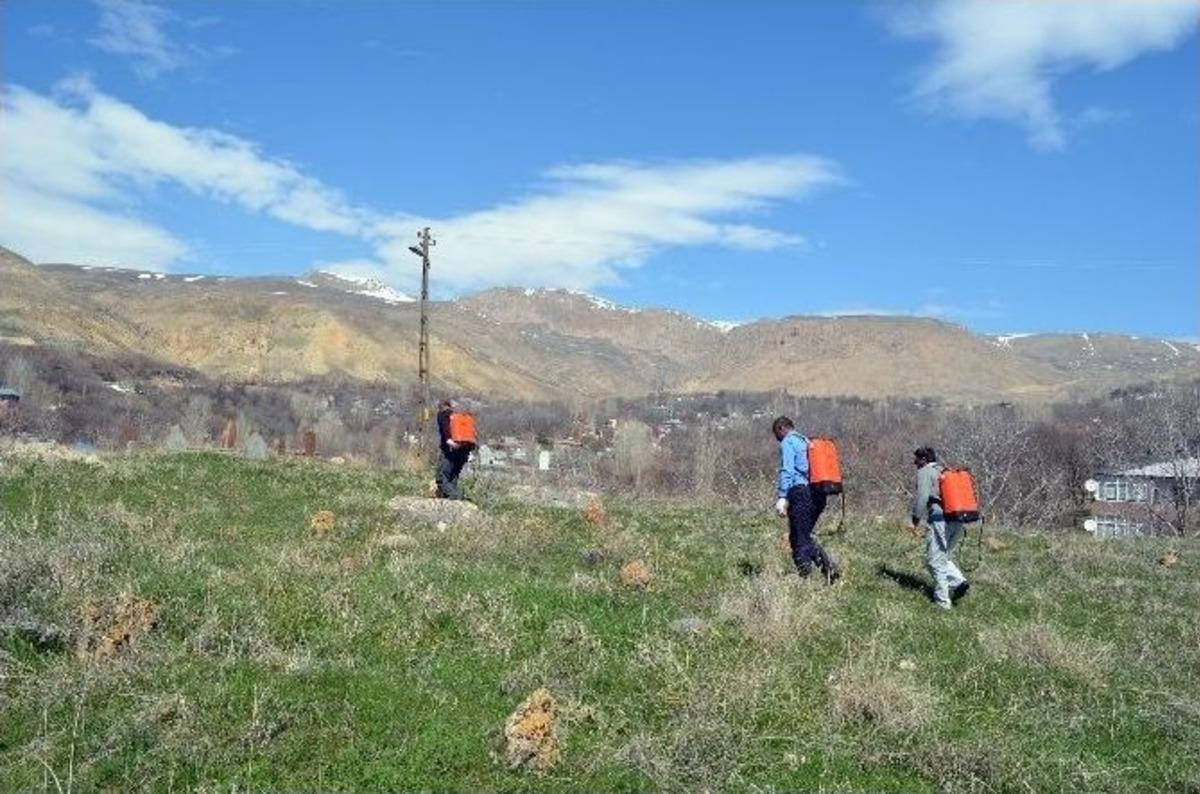 Adilcevaz&rsquo;da Mezarlıklar İla&ccedil;landı