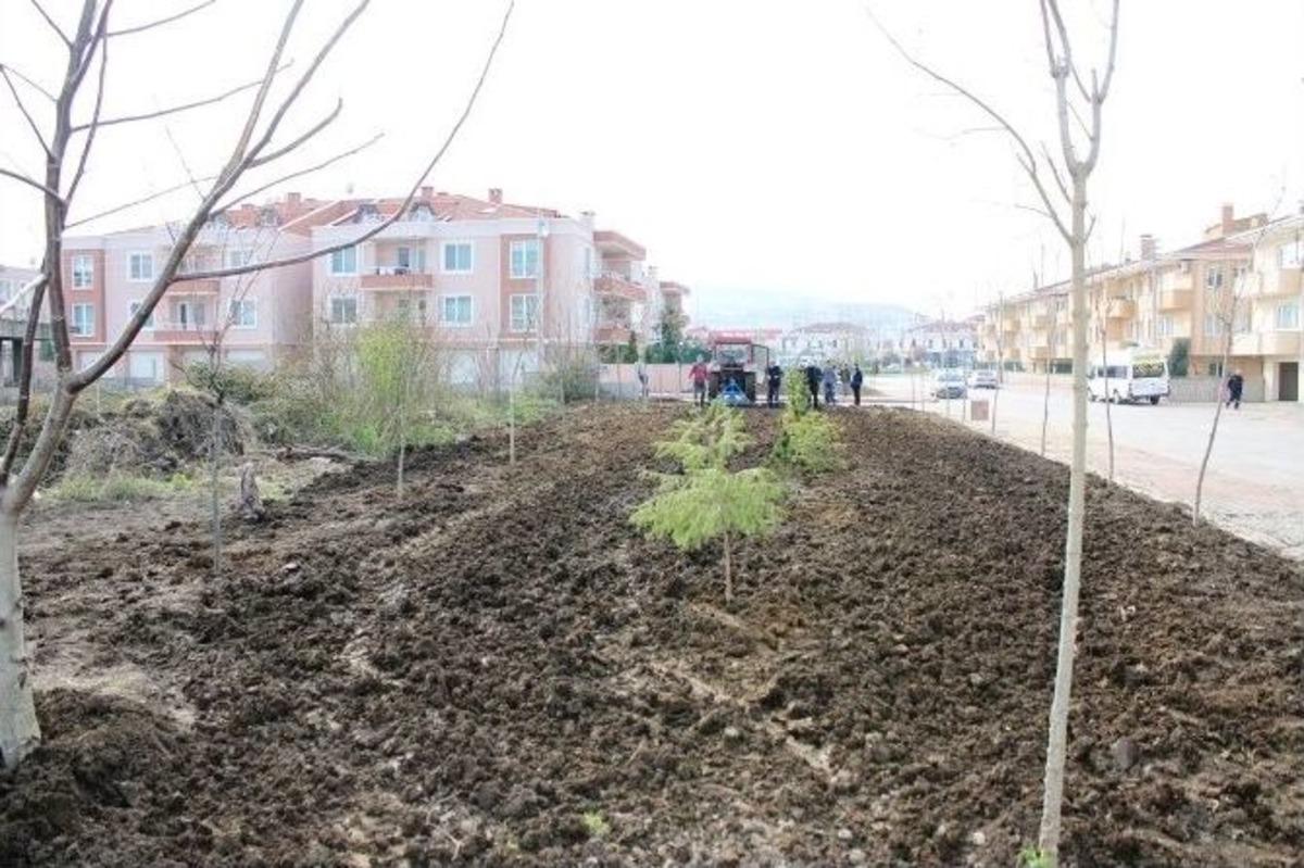 &ldquo;yeşil Serdivan, Sağlıklı Gelecek&rdquo; T&uuml;m Hızıyla Devam Ediyor
