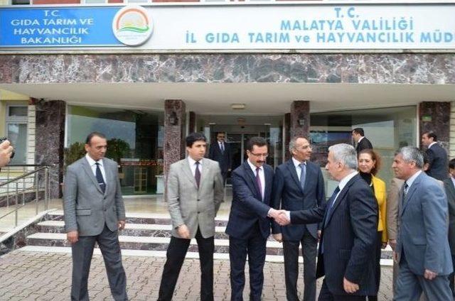 Vali Kamçı, Malatya Gıda, Tarım Ve Hayvancılık İl Müdürlüğü’nü Ziyaret Etti