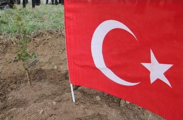 Çanakkale Zaferi’nin 100. Yılında 100 Fidan Toprakla Buluştu