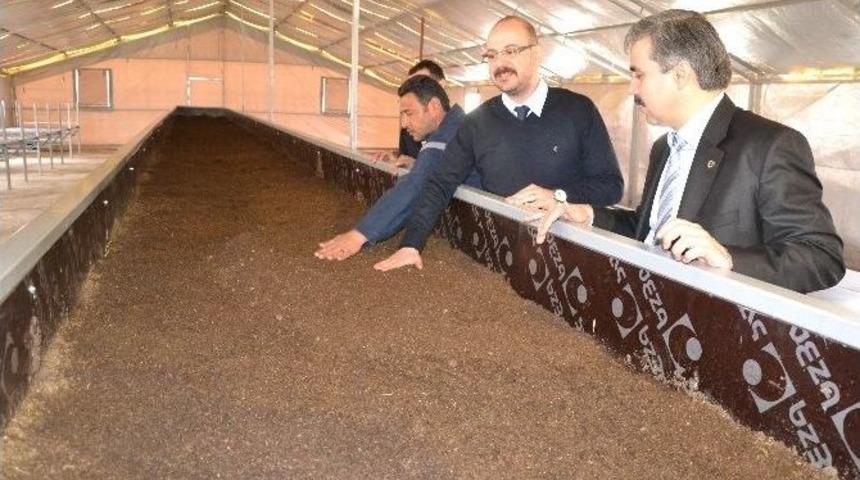 İki Gen&ccedil; Girişimciden Solucan G&uuml;bresi Yatırımı