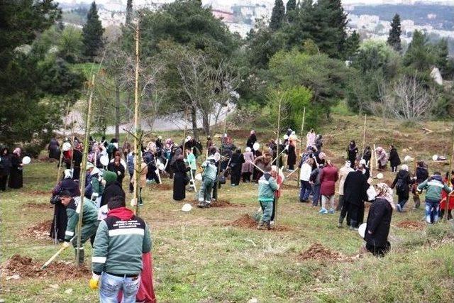 Obezite İle Mücadele Eden Kadınlardan Hatıra Orman