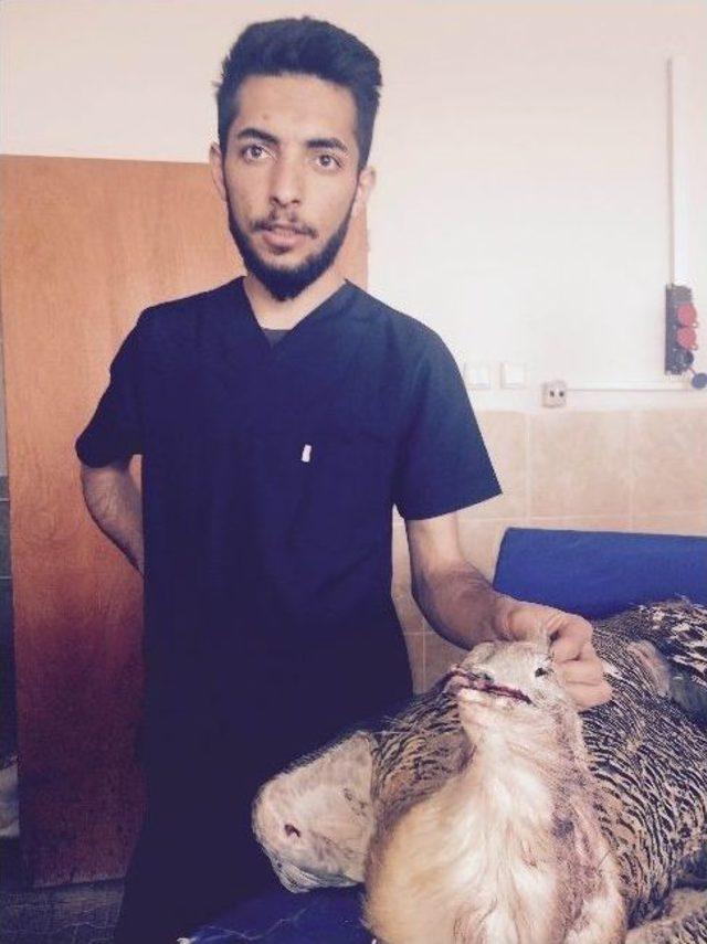 Avcılar Tarafından Vurulan Toy Kuşları Yy&uuml;&rsquo;de 3