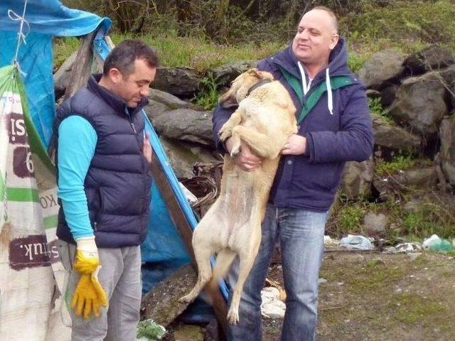 Barınma Ve Yemleme Noktaları Amacına Ulaştı