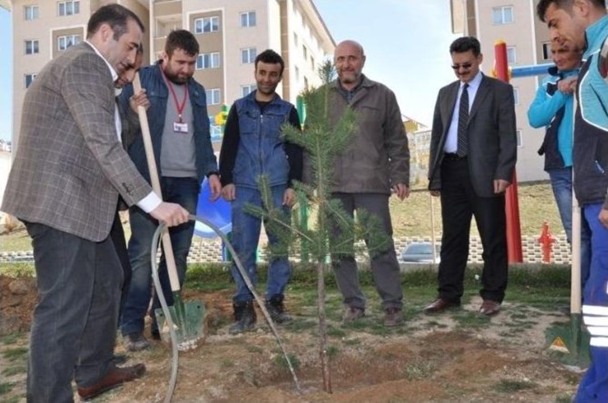 Toki&rsquo;ler 100 Bin Ağa&ccedil;la Yeşillenecek