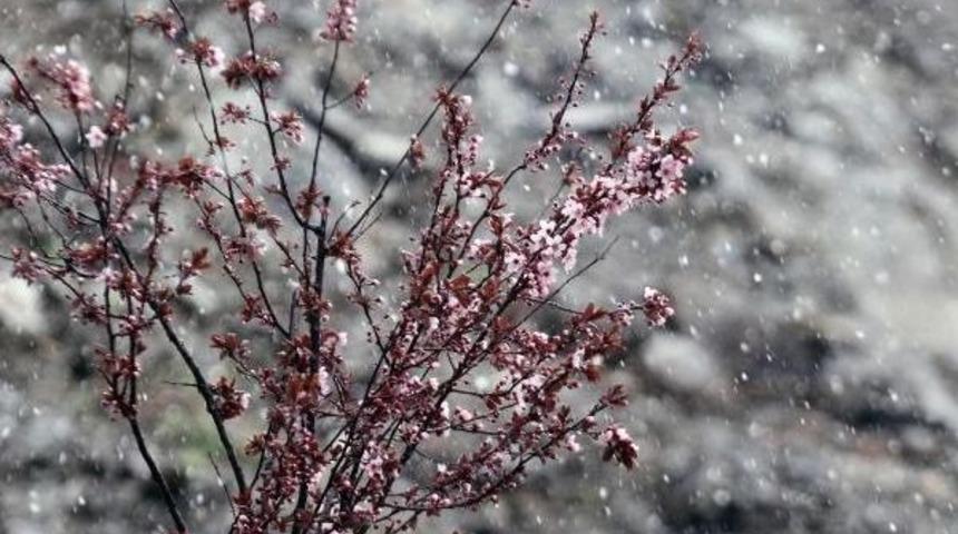 Ankara'ya Nisan'da Lapa Lapa Kar  (2)