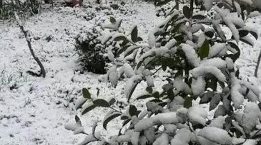 Taraklı&rsquo;da Kar Kalınlığı 10 Santimetreyi Buldu