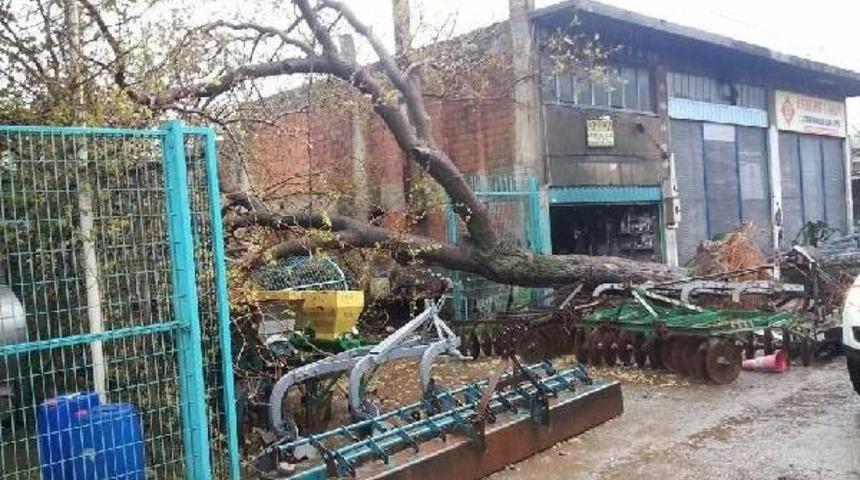 İzmir'in I&ccedil; Kesimlerine Kar Yağdı