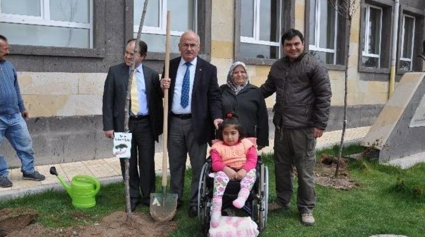 Kaymakam Balcı Ve Belediye Başkanı Yıldız &Ouml;ğrencilerle Fidan Dikti