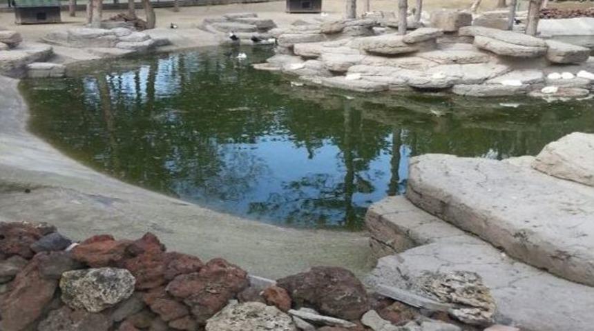 Beştepeler Mini Hayvanat Bah&ccedil;esi Ziyaret&ccedil;ilerini Bekliyor