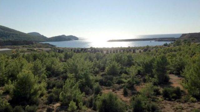 Akkuyu Nükleer Santral'inde Ilk Temel 14 Nisan'da Atılacak