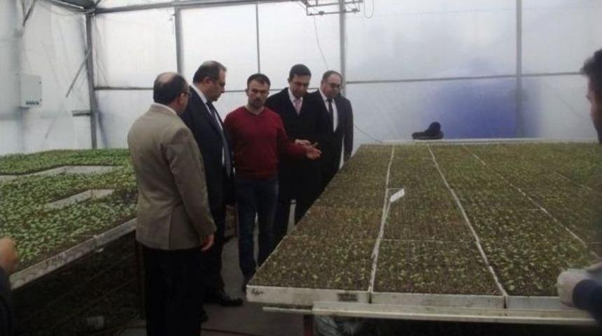 Vali Kaban &Ccedil;aycuma&rsquo;da Tarımsal İşletmelerde İncelemelerde Bulundu