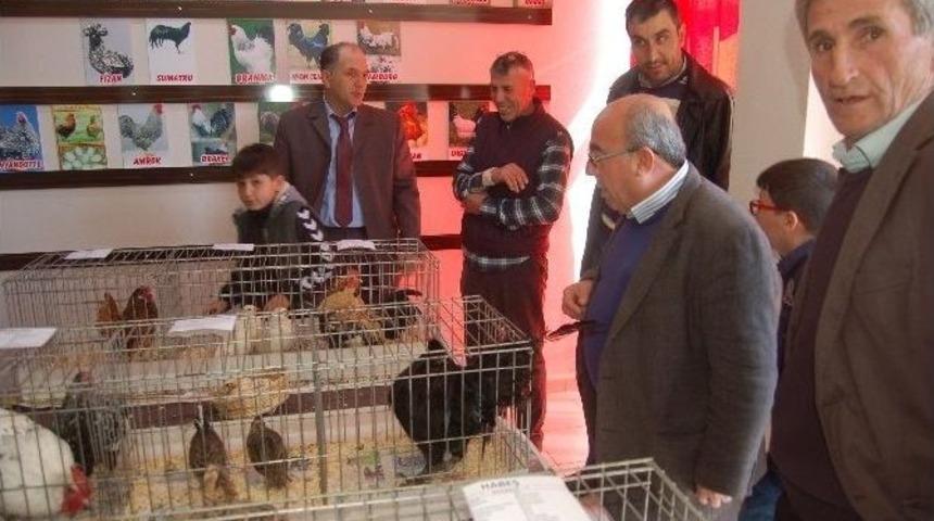 Lapseki&rsquo;de S&uuml;s Tavukları Ve Bah&ccedil;e Hayvanları Yetiştiricileri Derneği A&ccedil;ıldı