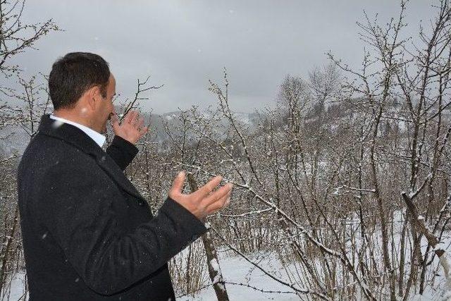 Zamansız Yağan Kar Fındık &Uuml;reticisini Endişelendiriyor 1