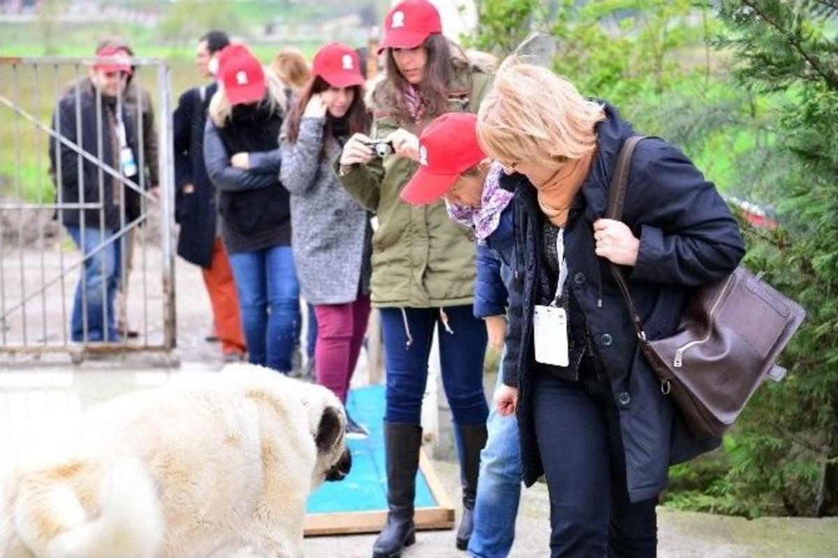 Yabancılar Keklik &Uuml;retim Merkezini Gezdi