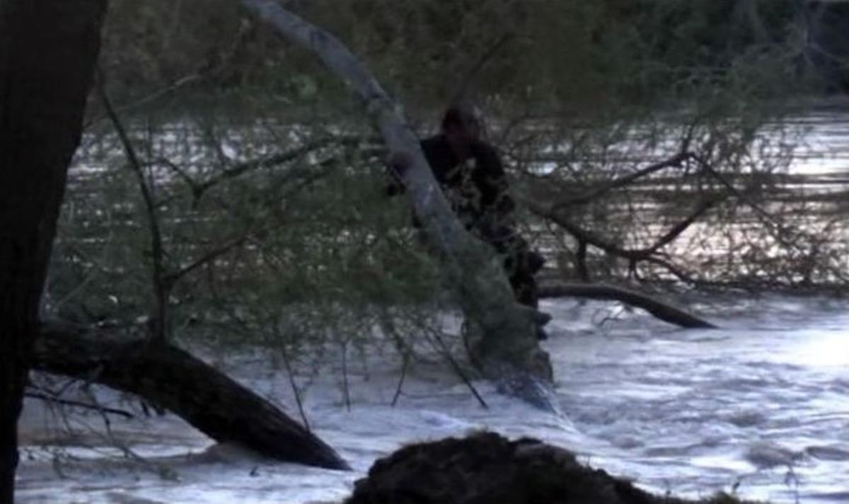 Nehre Atladı, Dallara Tutunarak Kurtarılmayı Bekledi