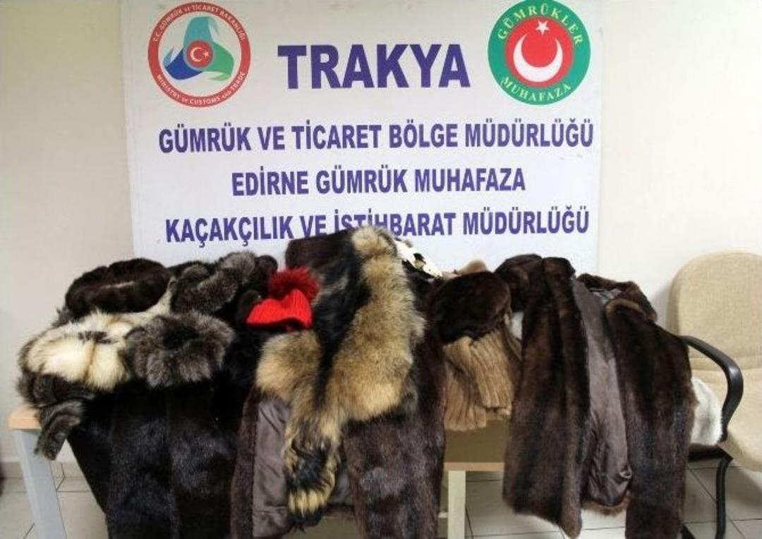 Kapıkule&rsquo;de Vizon, Marmot Ve Kızıl Sincap Postu K&uuml;rk Manto Ele Ge&ccedil;irildi