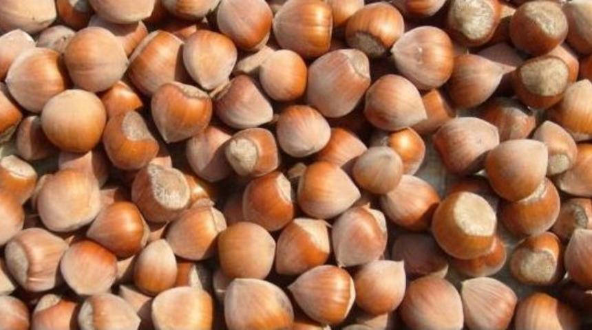 Ufk&rsquo;dan &lsquo;rekolte&rsquo; Teklifi