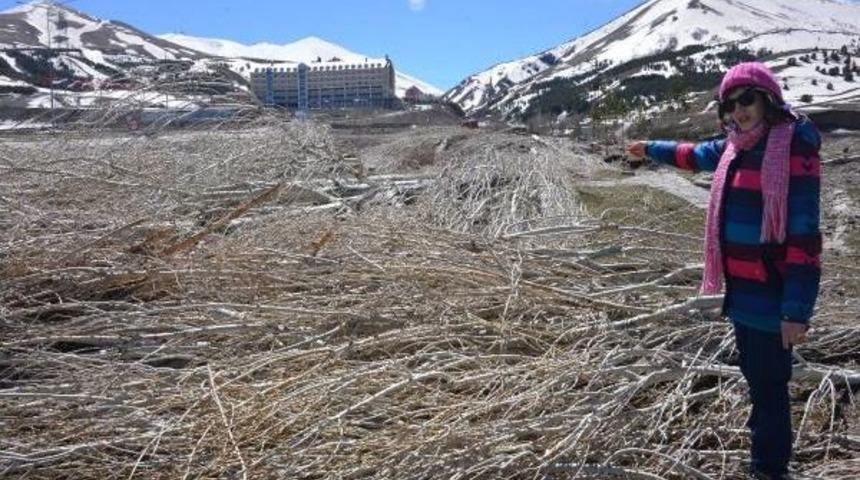 Paland&ouml;ken, Yazın 40'dan Fazla Futbol Takımı Ağırlayacak