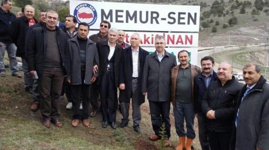 Elazığ&rsquo;da Mehmet Akif İnan Hatıra Ormanı Oluşturuldu