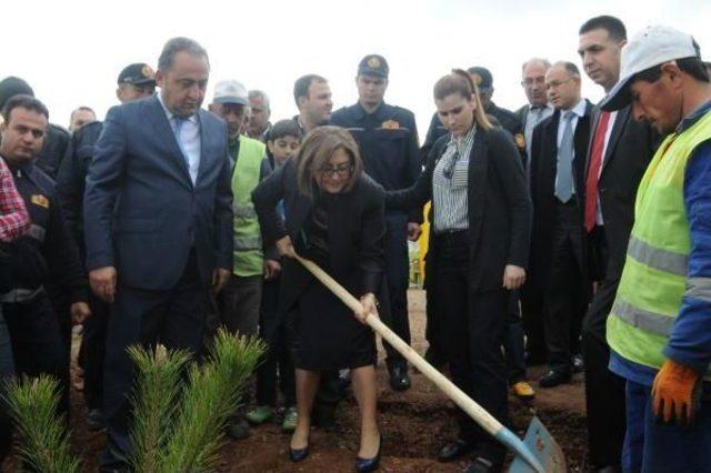 Gaziantep’Te 35 Bin Fidan Toprakla Buluşuyor 1