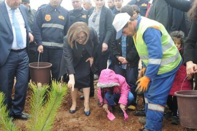 Gaziantep’Te 35 Bin Fidan Toprakla Buluşuyor 2