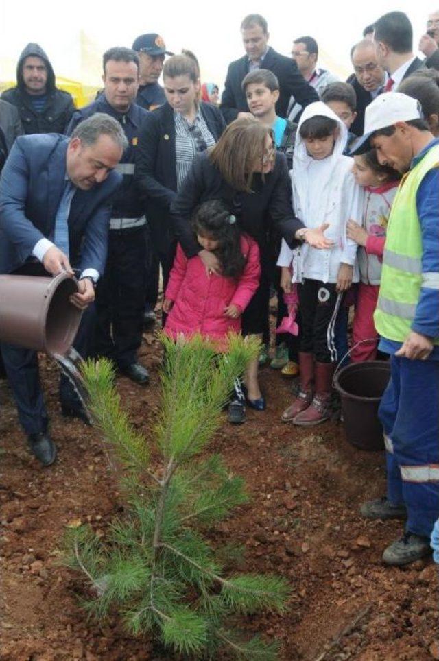 Gaziantep’Te 35 Bin Fidan Toprakla Buluşuyor 3