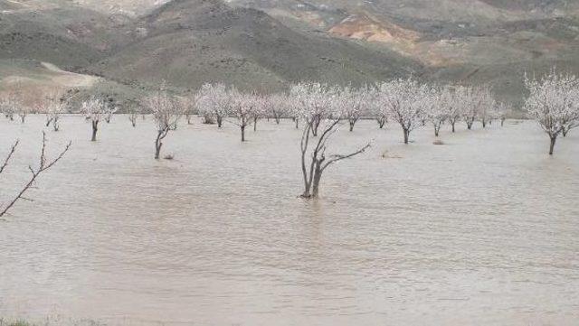 Hes'e Su Taşıyan Kanal Patladı, Kayısı Ağaçları Su Altında Kaldı