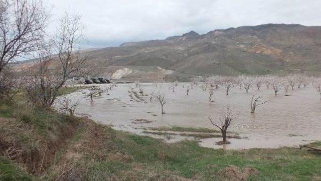 Hes'e Su Taşıyan Kanal Patladı, Kayısı Ağaçları Su Altında Kaldı