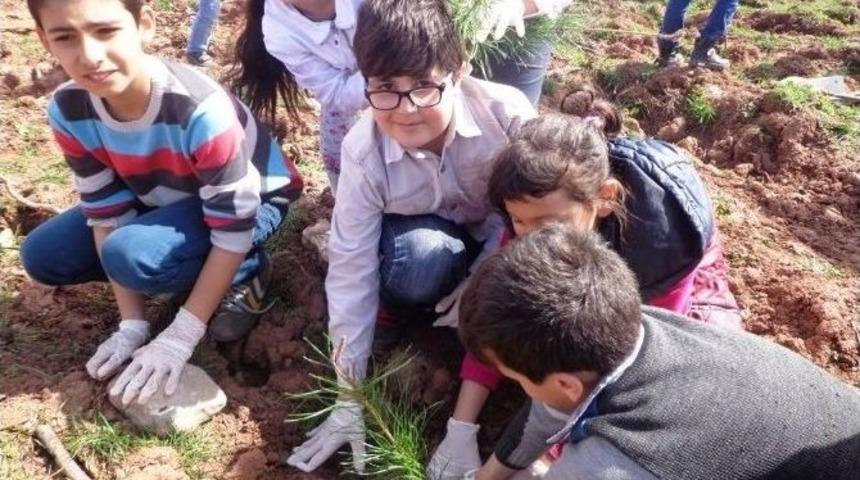 &ldquo;ormanda Ağacım Var&rdquo;