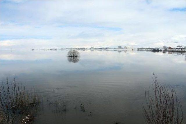 Kar Yağışı, Kura Nehri'ni Taşırdı