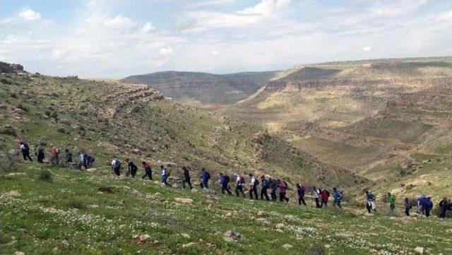 Diyarbakırlı Dağcılardan Mancel Dağı Yürüyüşü