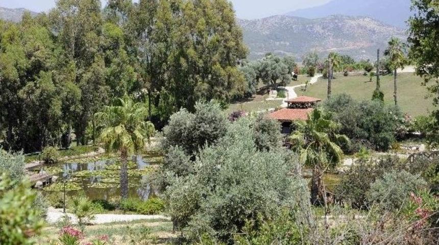 &Ccedil;iller&rsquo;in &Ccedil;iftliğini Soyanlara Ceza Yağdı