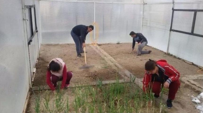 Engelli &Ouml;ğrenciler İ&ccedil;in Kurulan Sera Faaliyete Ge&ccedil;ti