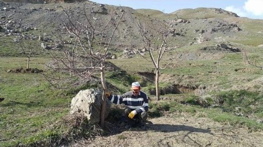 Yol &Ccedil;alışması Meyve Bah&ccedil;elerine Zarar Verdi