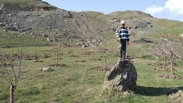 Yol Çalışması Meyve Bahçelerine Zarar Verdi 1